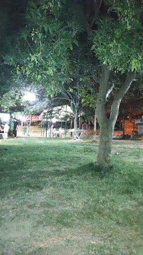Yorum fotoğrafı 5