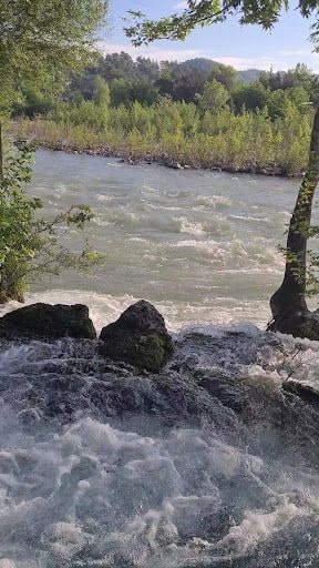 Fotoğraf 17