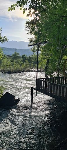Fotoğraf 19