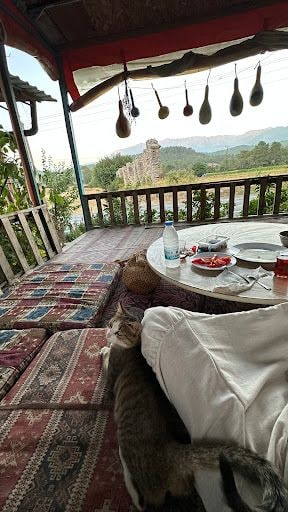 Yorum fotoğrafı 3
