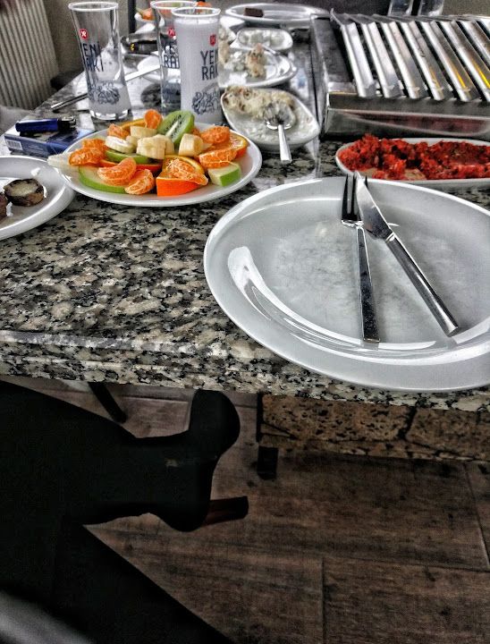 Fotoğraf 24