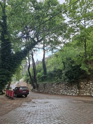 Fotoğraf 13