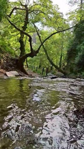 Fotoğraf 14