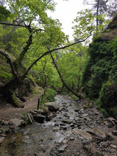 Fotoğraf 15