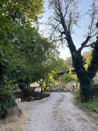 Yorum fotoğrafı 5