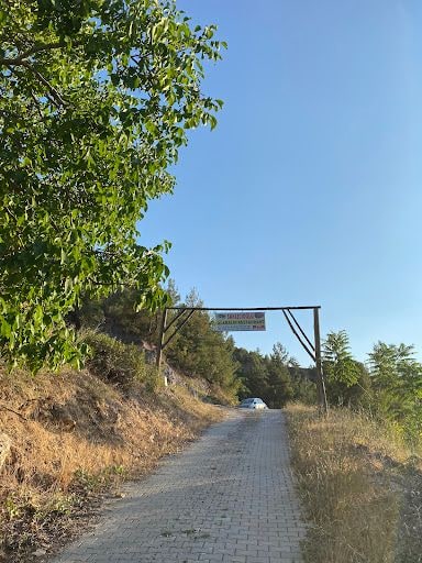 Yorum fotoğrafı 7