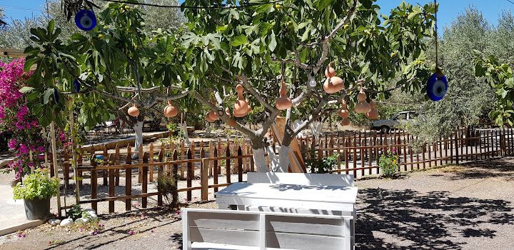 Yorum fotoğrafı 4