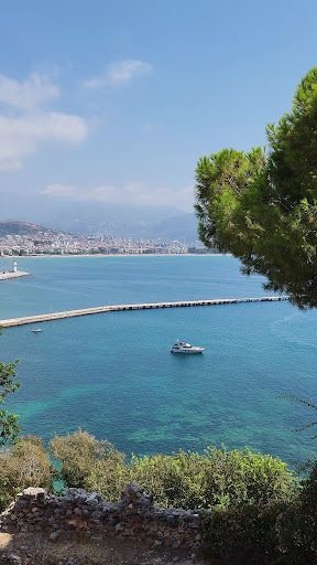 Yorum fotoğrafı 5