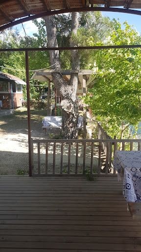 Yorum fotoğrafı 7