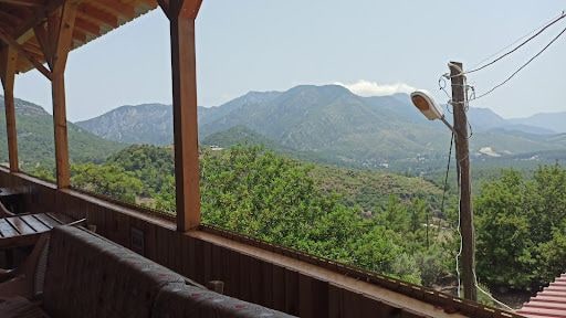Fotoğraf 12