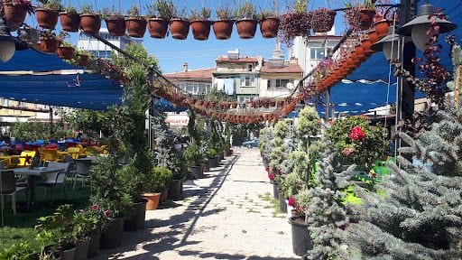 Yorum fotoğrafı 5