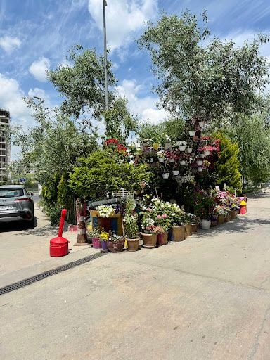 Yorum fotoğrafı 9