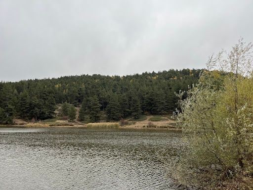 Yorum fotoğrafı 5