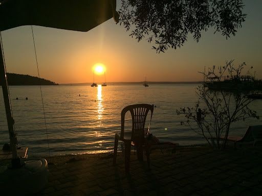 Fotoğraf 14