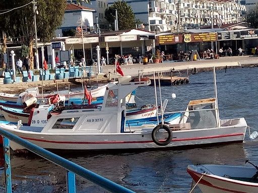 Fotoğraf 16