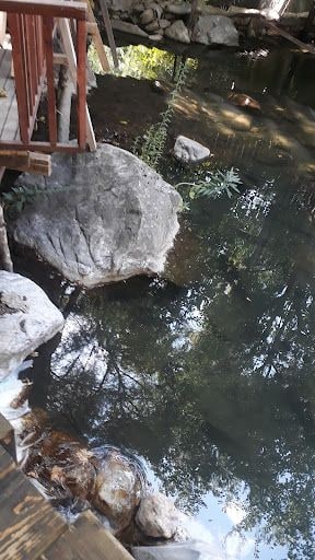 Fotoğraf 14