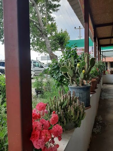 Fotoğraf 13
