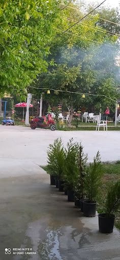 Yorum fotoğrafı 7