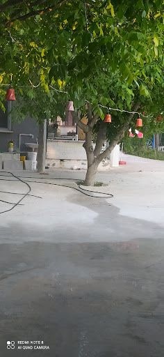 Yorum fotoğrafı 8