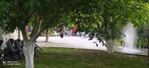 Yorum fotoğrafı 9