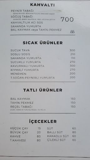 Fotoğraf 14