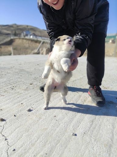 Yorum fotoğrafı 5