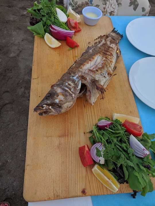 Fotoğraf 41