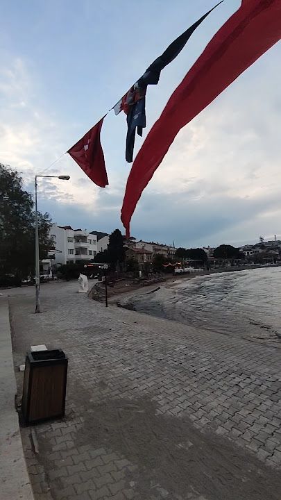 Fotoğraf 28