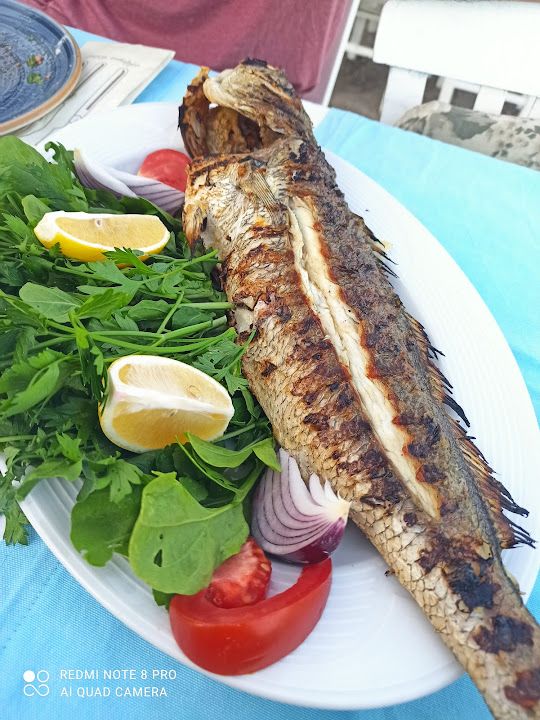 Fotoğraf 34