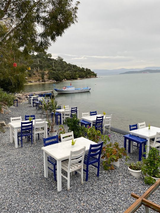 Fotoğraf 17