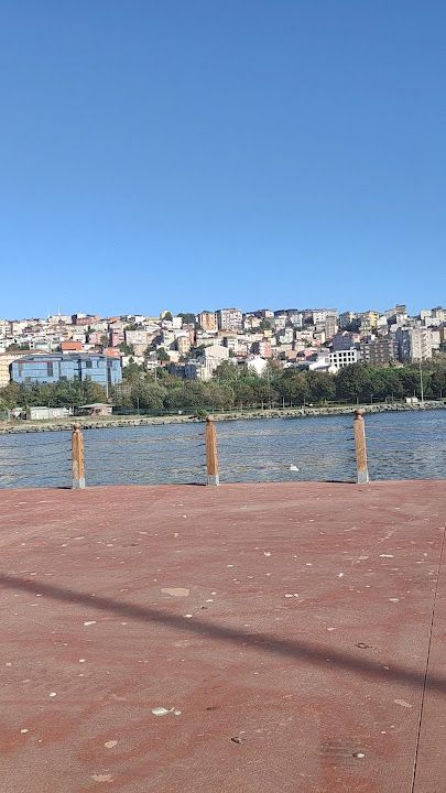 Fotoğraf 79