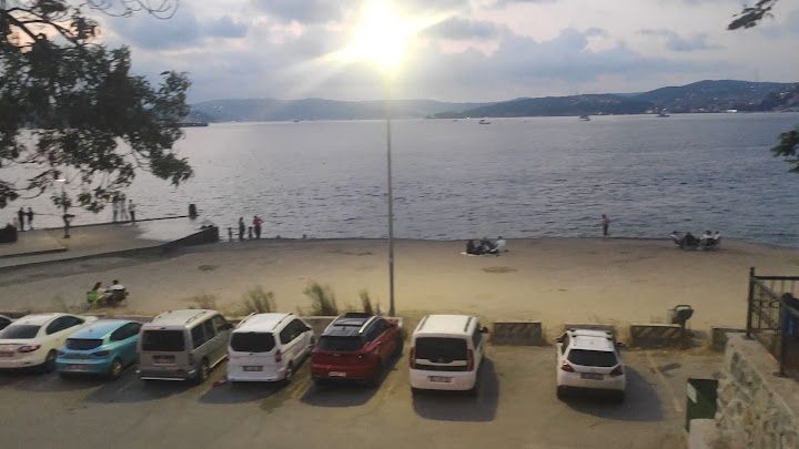 Fotoğraf 77