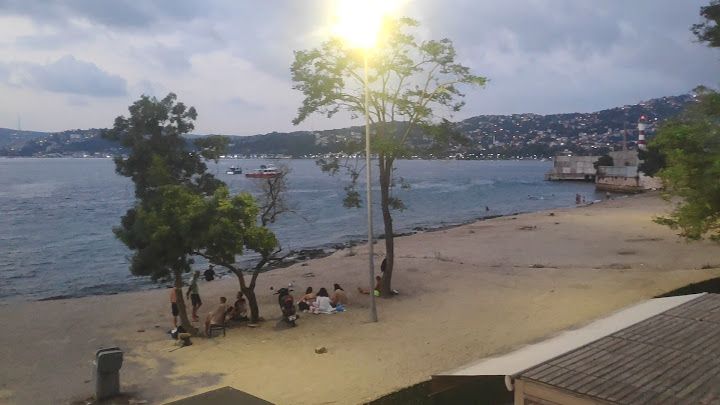 Fotoğraf 78