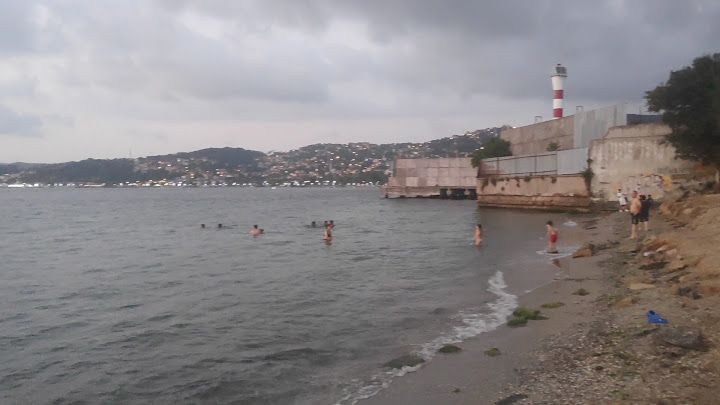 Fotoğraf 79
