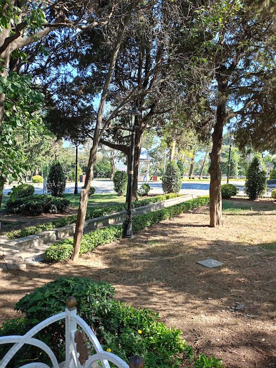 Fotoğraf 51