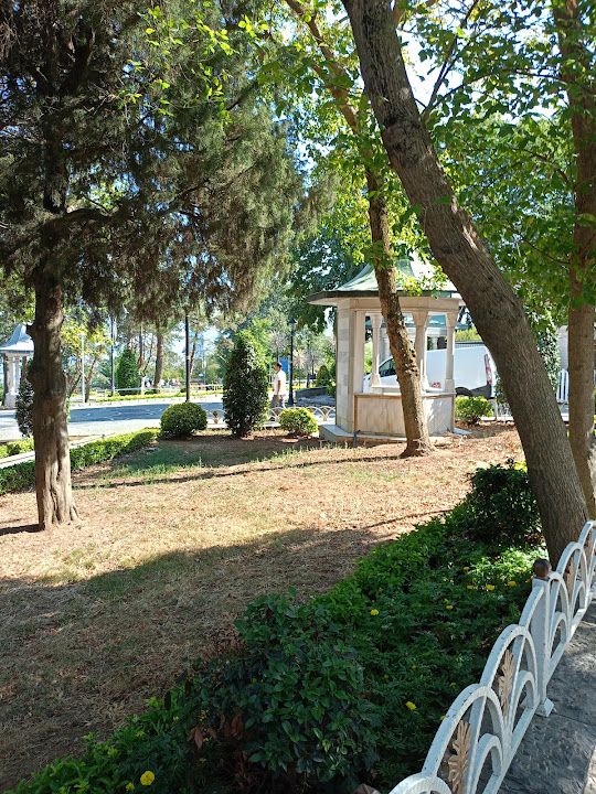 Fotoğraf 52