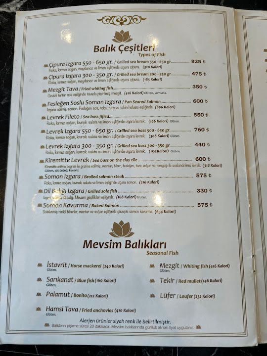 Fotoğraf 37