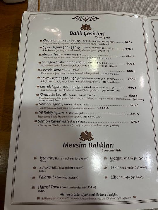 Fotoğraf 37
