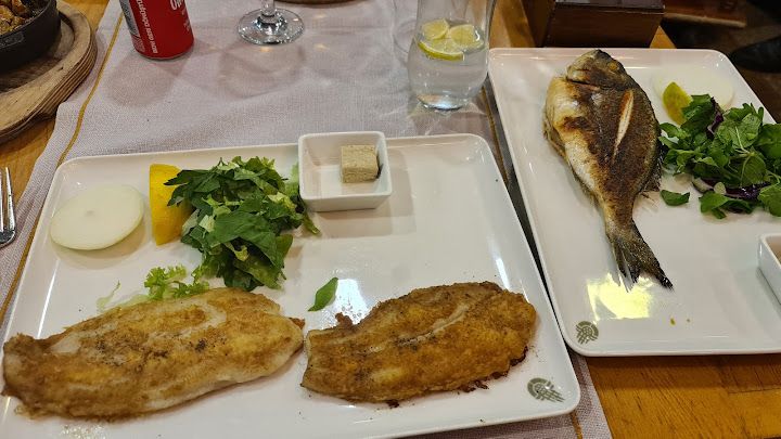 Fotoğraf 35