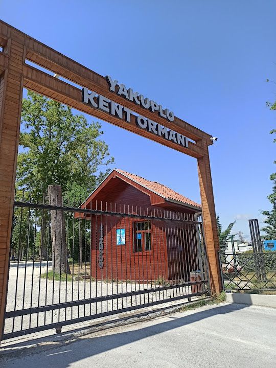 Fotoğraf 48