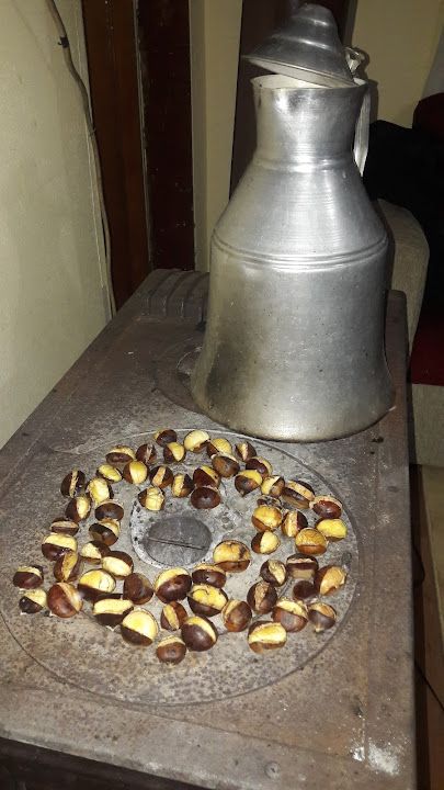 Fotoğraf 30