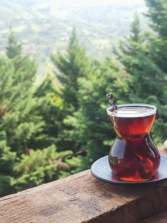 Fotoğraf 28