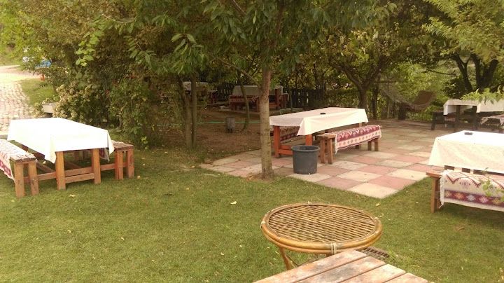 Fotoğraf 12