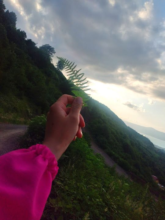 Fotoğraf 17