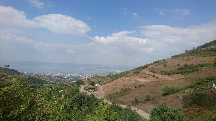 Fotoğraf 13