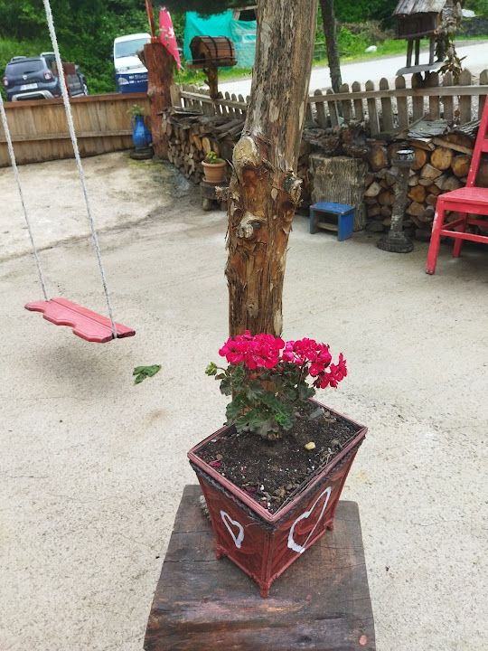 Fotoğraf 57
