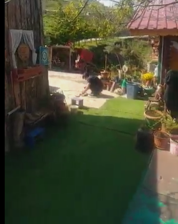 Fotoğraf 67