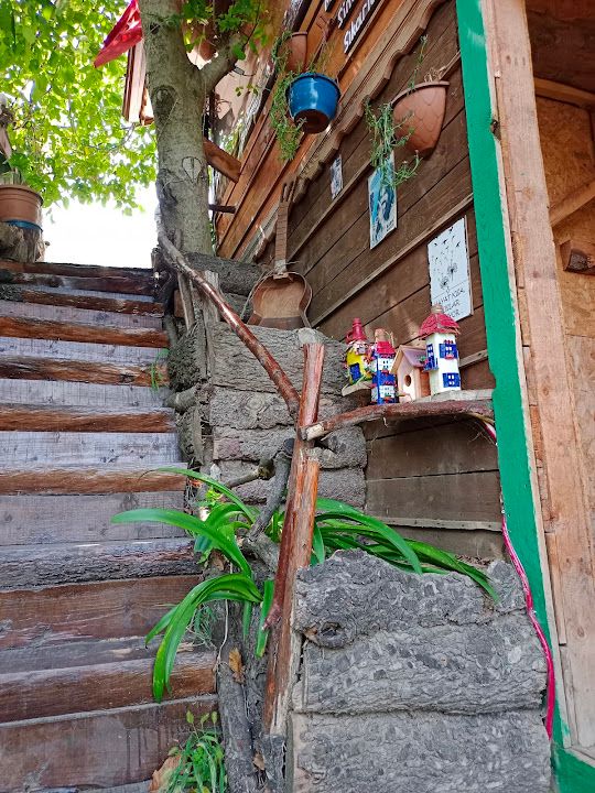 Fotoğraf 63