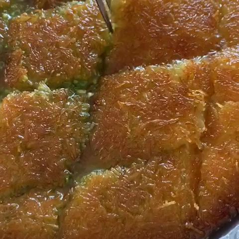 Fotoğraf 24