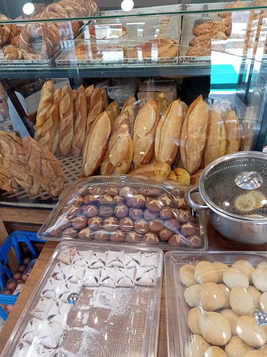 Fotoğraf 13